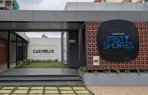 Packers and Movers Coevolve Misty Shores