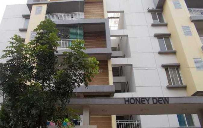 packers and movers Honey Dew