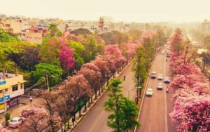 Jayanagar Bangalore