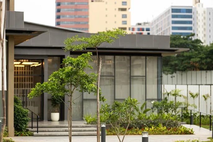 Vaswani Starlight
