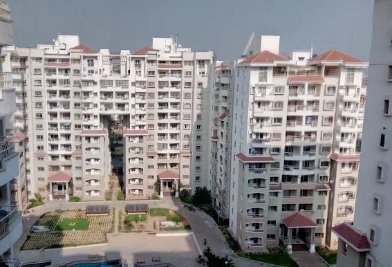 Packers and Movers Springfields